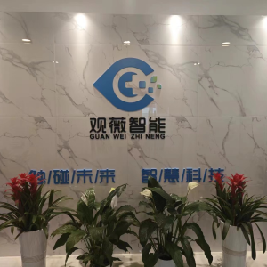 观薇智能：聚焦“AI+健康” 勇当推进中国式现代化“生力军”